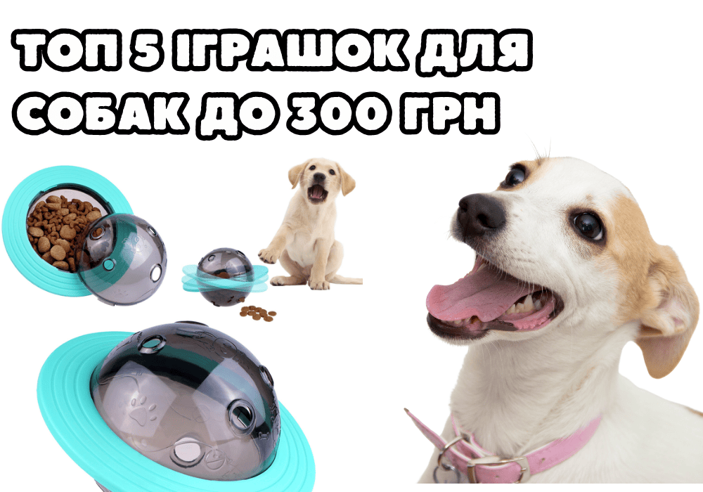 ТОП 5 игрушек для собак до 300 грн!